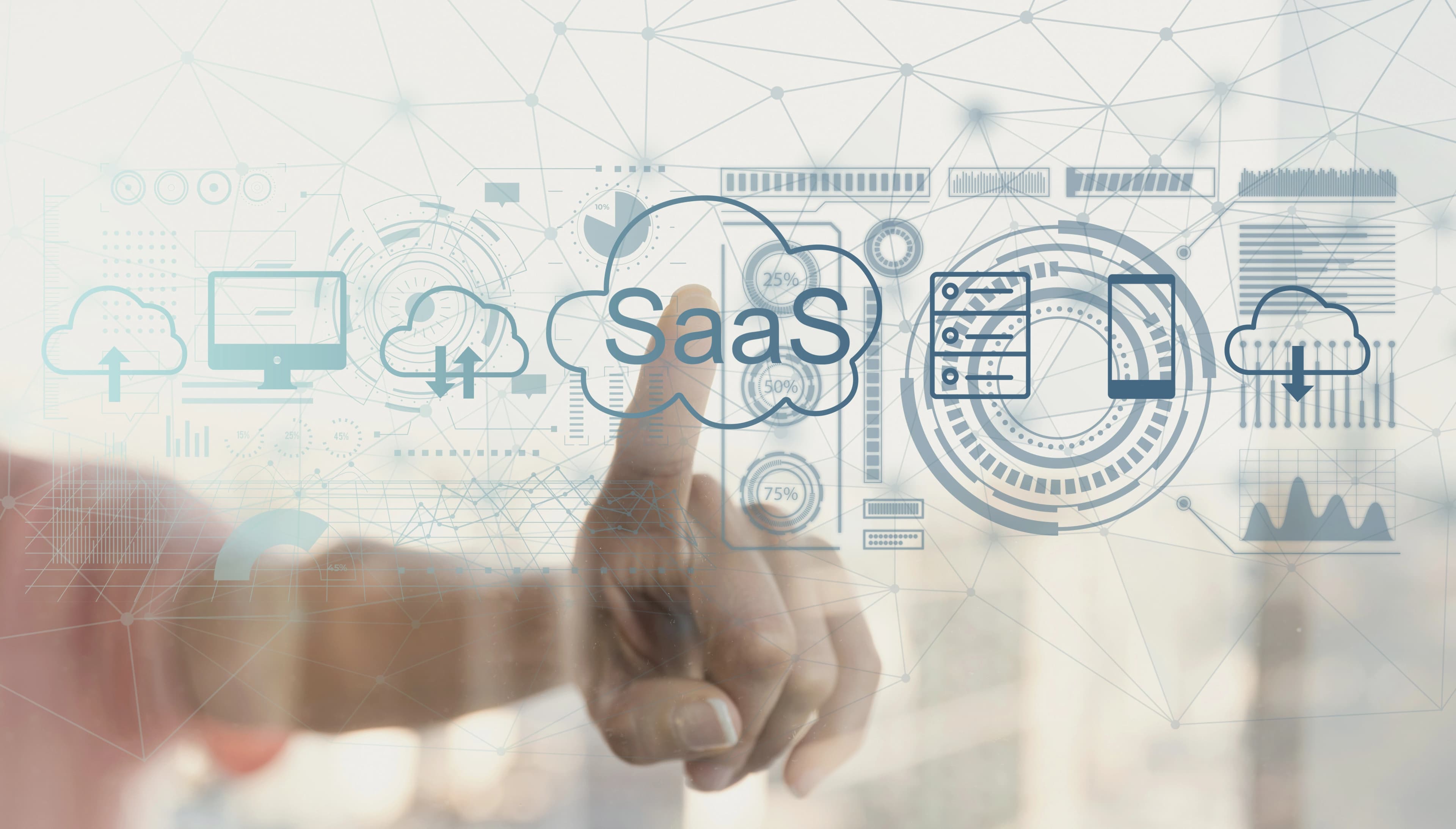 SAP S/4HANA Application Support service